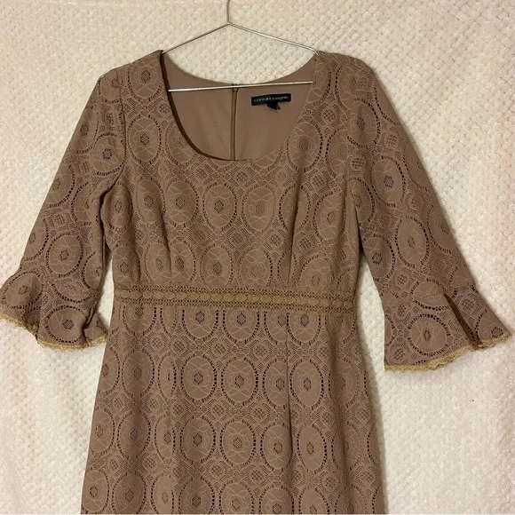 Womens Beige Taupe Lace Dress with Flounce Sleeves Elegant Size 14 - Picture 2 of 4